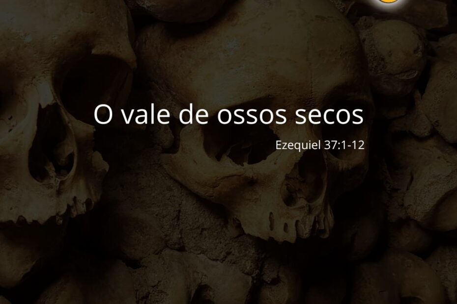 O Vale De Ossos Secos