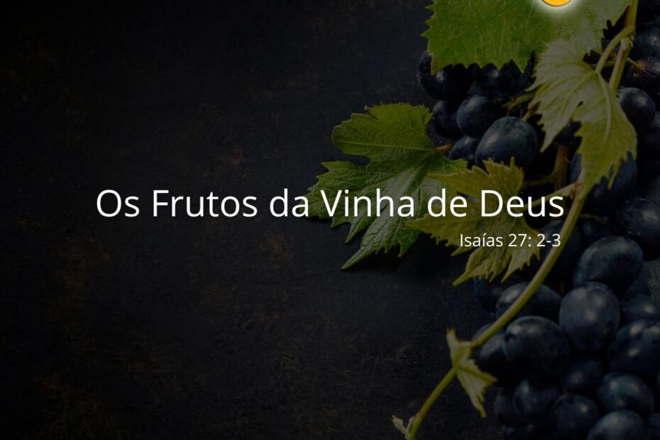 Os Frutos Da Vinha De Deus