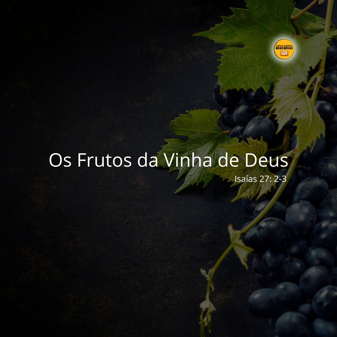 Os Frutos Da Vinha De Deus