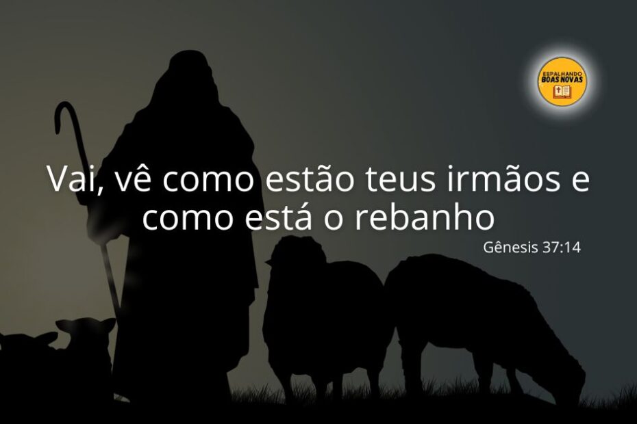 Vai, Vê Como Estão Teus Irmãos E Como Está O Rebanho (1)