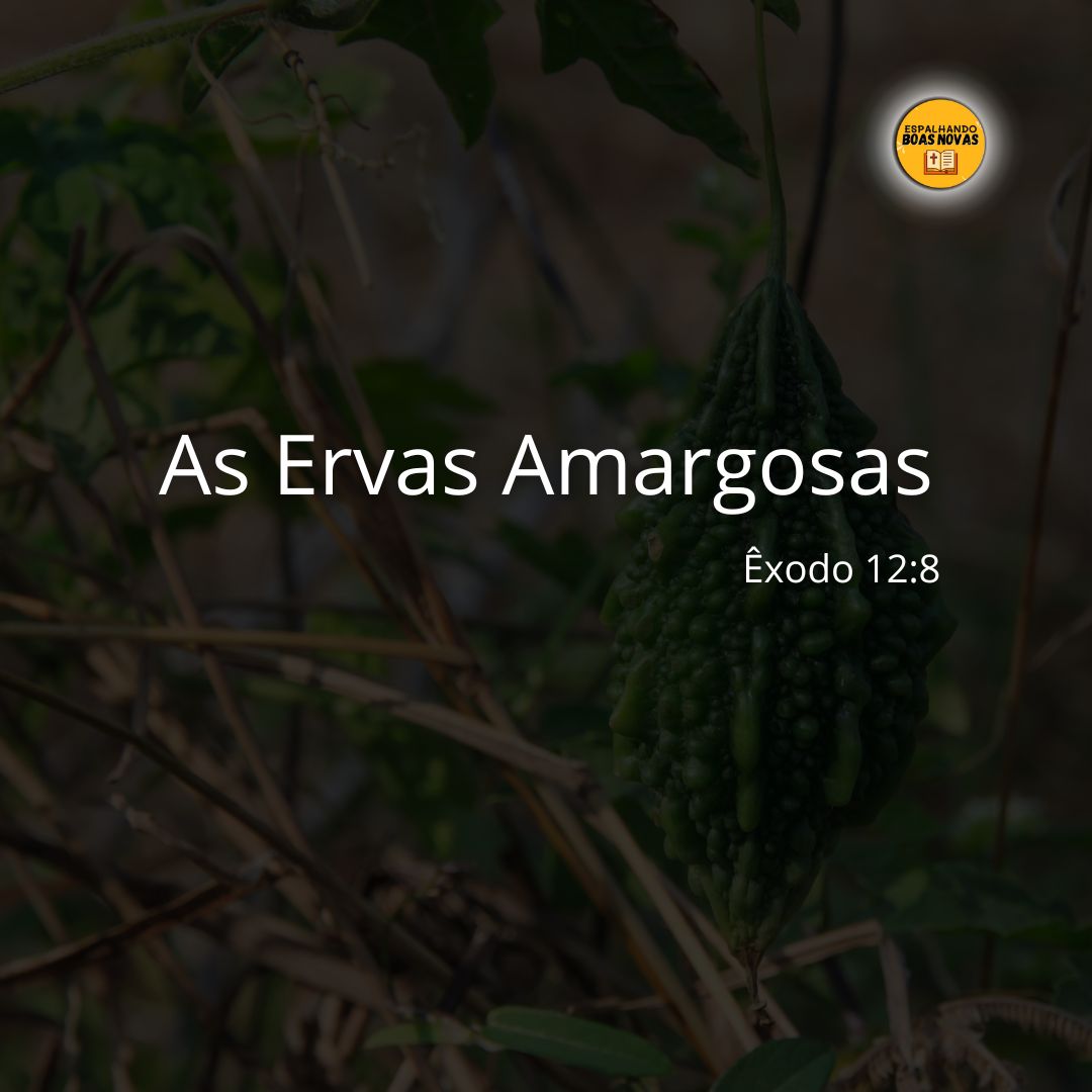 As Ervas Amargosas